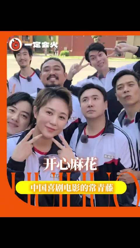 离了开心麻花 谁还逗我笑 喜剧 十年 票房