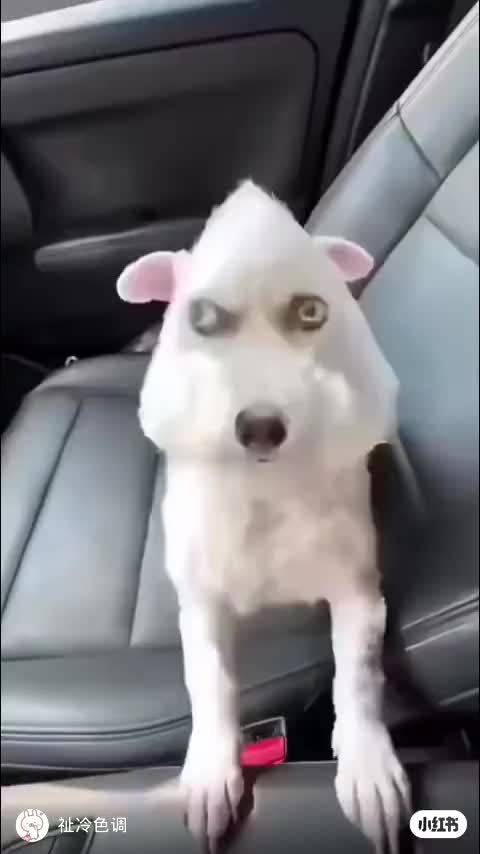审美坤坤