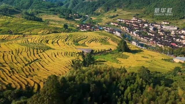 半壁梯田半壁村诗意秋景