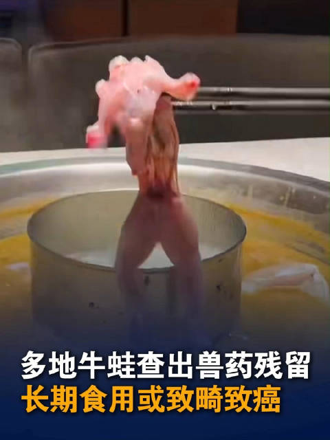 你买的牛蛙可能残留禁用兽药