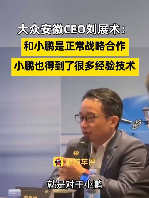刘展术称与小鹏合作是双赢