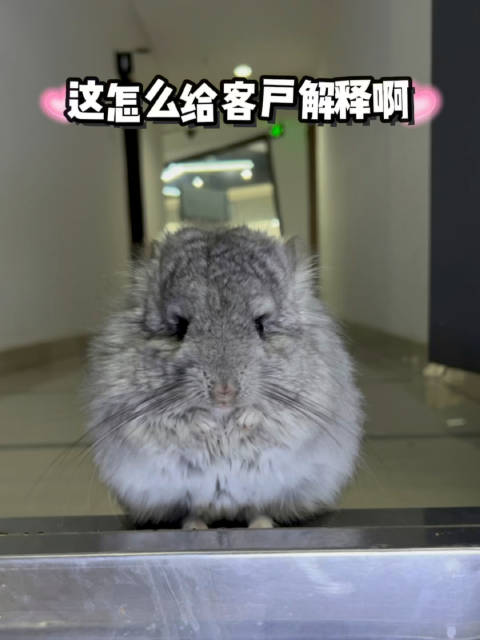 这可咋整啊？我要给客户打电话吗？