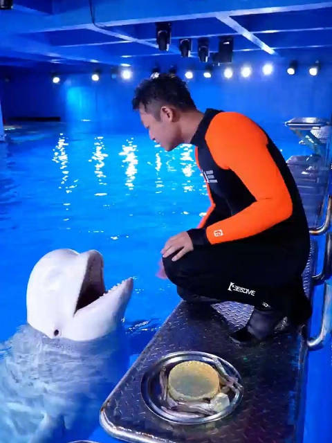 海底萌宠花式过中秋！
