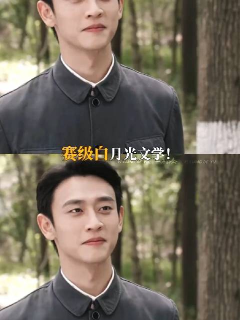 属于老辈子的赛级白月光文学 遗憾爱而不得