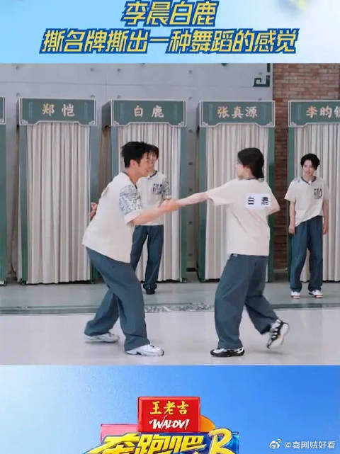 李晨白鹿撕名牌撕出一种舞蹈的感觉