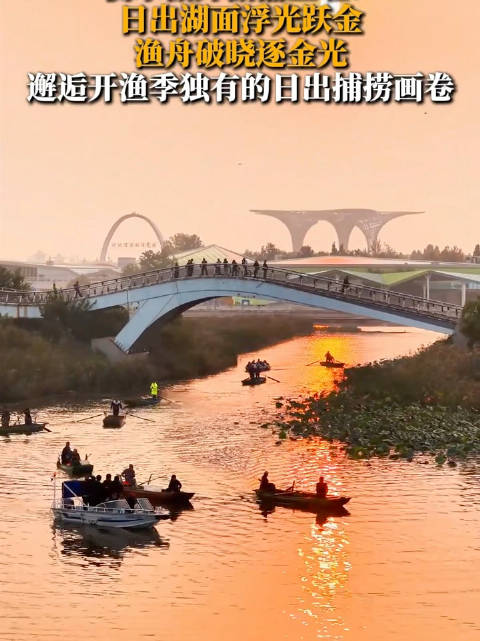日出把衡水湖染成了金色