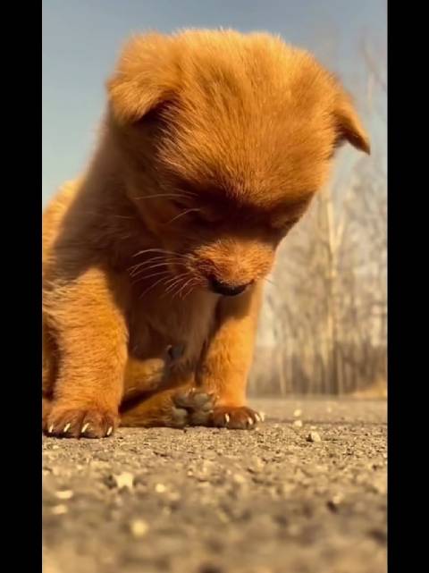 回家的路上我向的玻璃看看山而我的状态是 本宝宝到家了