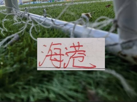 海港间歇期有点低调！隔壁安排友谊赛是打俄罗斯豪门