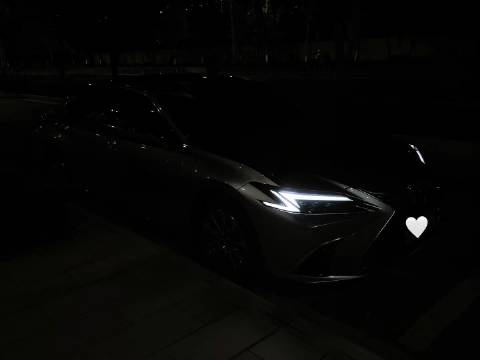 告诉嫦娥 我已经找到了我的月亮 迷人的反派 开雷王和捷豹