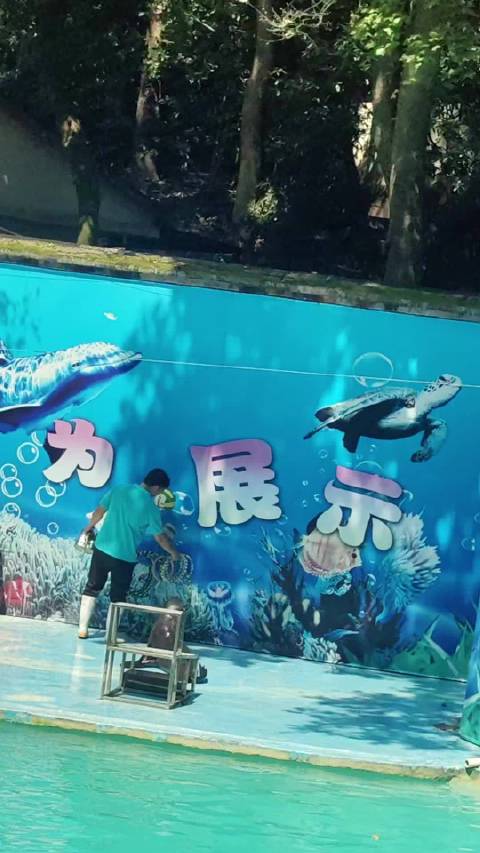 今天是杭州动物园一日游 分别是海狮表演、羚羊凝视～大象归洞…