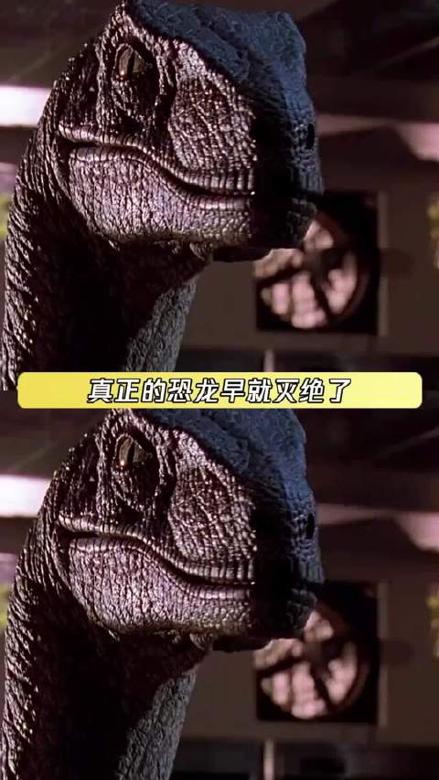 如果侏罗纪公园按原著拍将会是部R级片、侏罗纪世界、侏罗纪公园、恐龙
