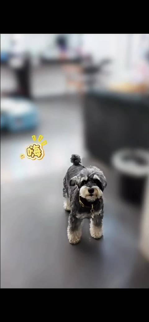刘宇宁分享励志语录，所有逆袭都是有备而来