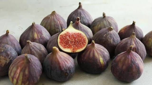 每一颗无花果里，都又很多寄生虫，看完你还敢吃吗？