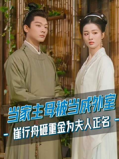 柳眠棠被误作外室，崔行舟掷地有声：自此同心，再无疑云！ 柳舟记 电视剧