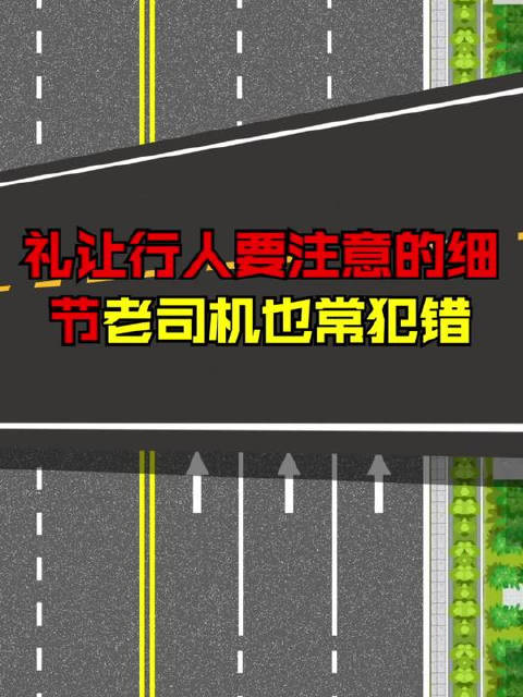 礼让行人要注意的细节老司机也常犯错