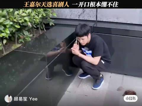 王嘉尔真是天选喜剧人 一开口就想笑