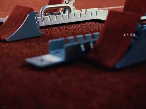 陈妤颉——划破中国短跑夜空的少年闪电