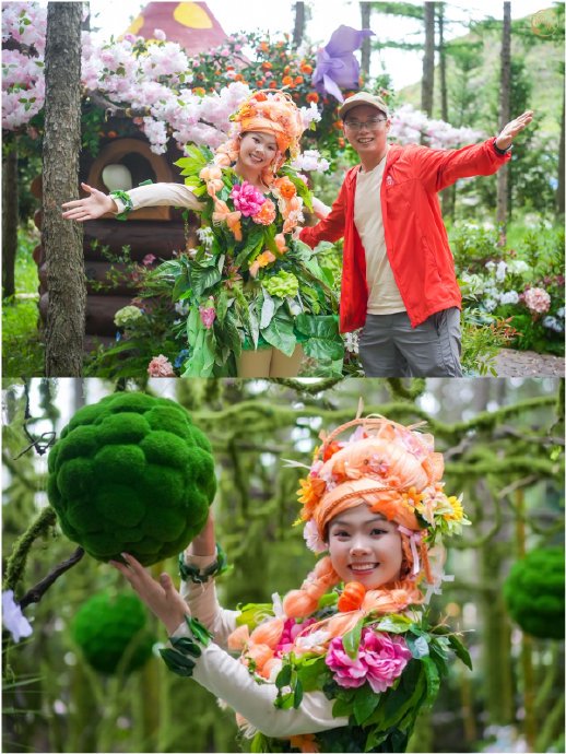 暑假带老人去森林避暑怎么选？4大目的地、16℃清凉与70岁免票实测+FAQ