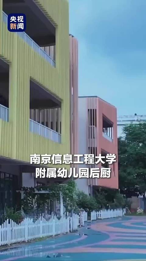 白岩松评幼师举报幼儿园后厨