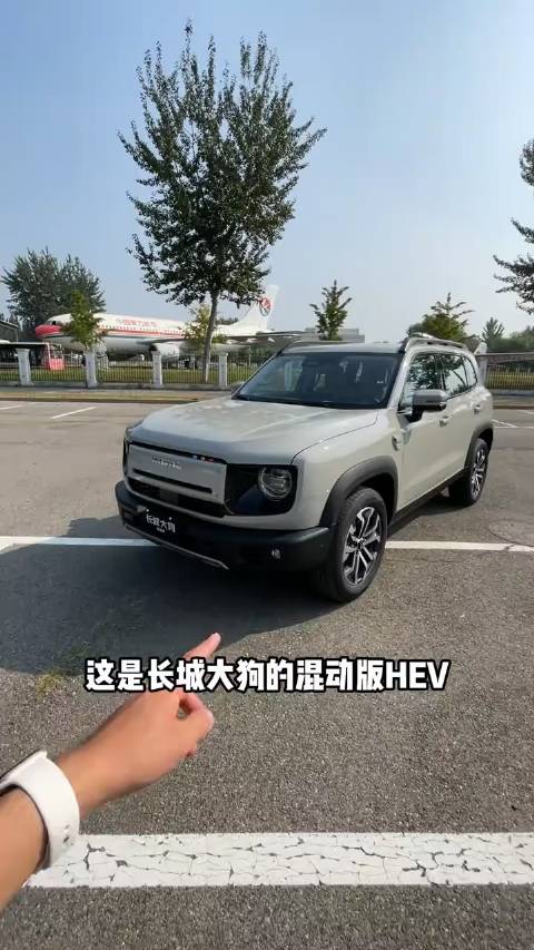 大型犬混动车型