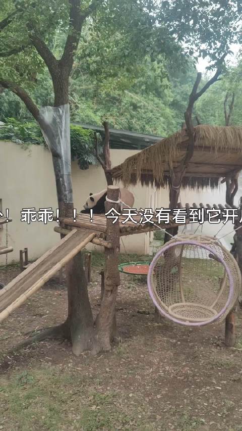 莽灿灿想妈妈啦 ！祝长安三少爷节日快乐！