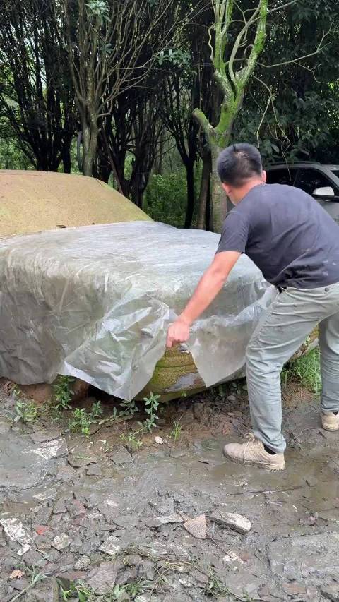 35年前的老林肯长满苔藓，竟被成功复活