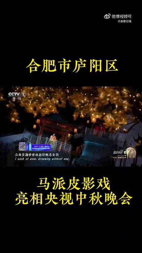 合肥宝藏惊艳亮相央视