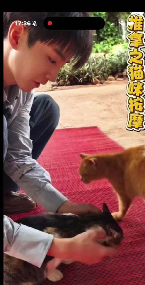 遇见你 我命运的齿轮开始转动