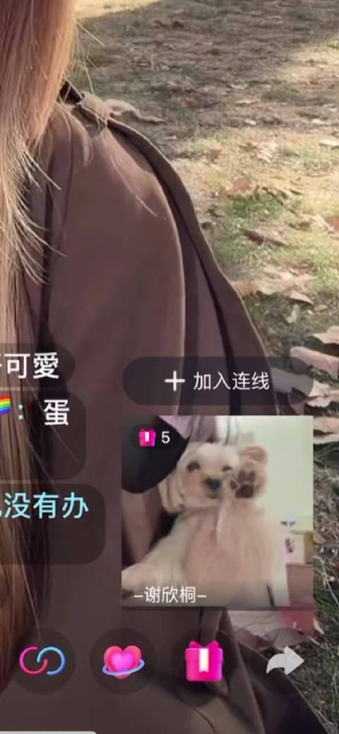 晚睡也会有好处！可以听见桐桐的小新音和可爱的蛋卷
