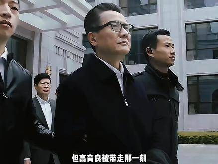 《人民的名义》里高育良落马，沙瑞金真就站在了胜利之巅？