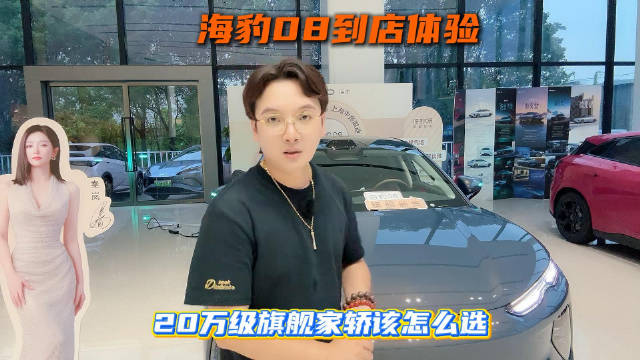 海豹08到店体验：20万级旗舰家轿该怎么选
