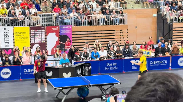 杜塞尔多夫樊振东最后一局获胜 太激动了啊啊啊