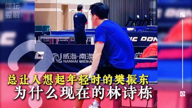 看到现在的林诗栋总让人想起年轻时候的樊振东！