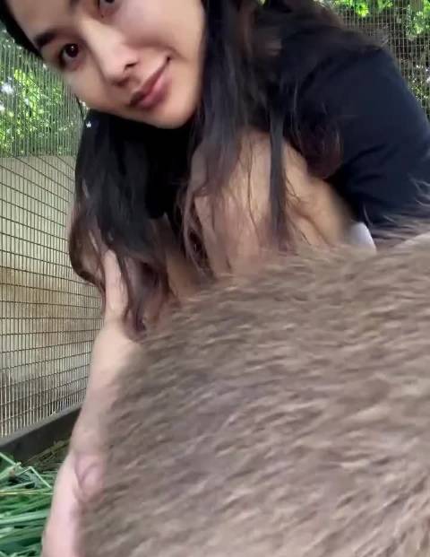 我就这样每天对璐璐