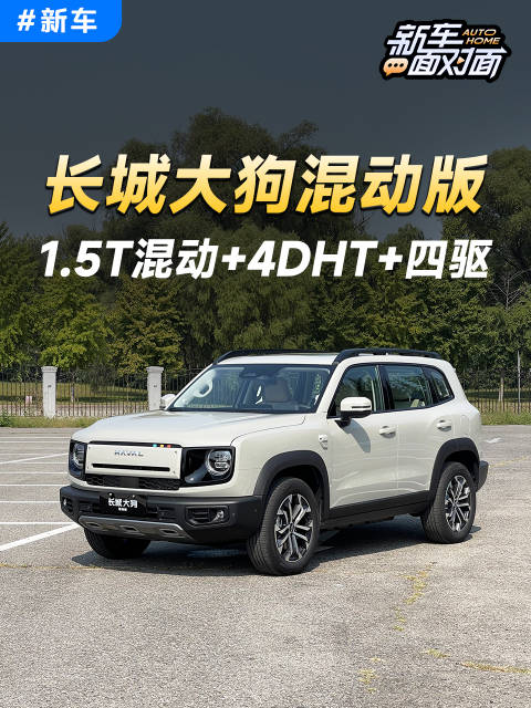 硬派混动SUV上新！体验长城大狗混动版 汽车之家