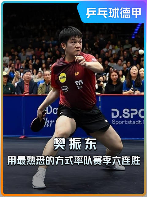 樊振东再次一单两分，率杜塞尔多夫开局六连胜