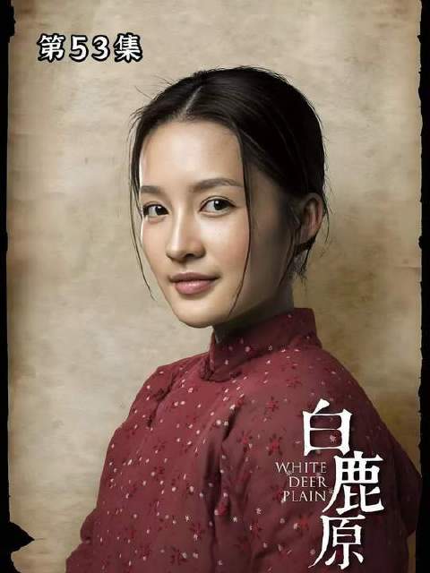 黑娃咸鱼翻身当上大官