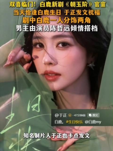 白鹿携手陈哲远倾情演绎的全新剧集《朝玉阶》正式官宣！