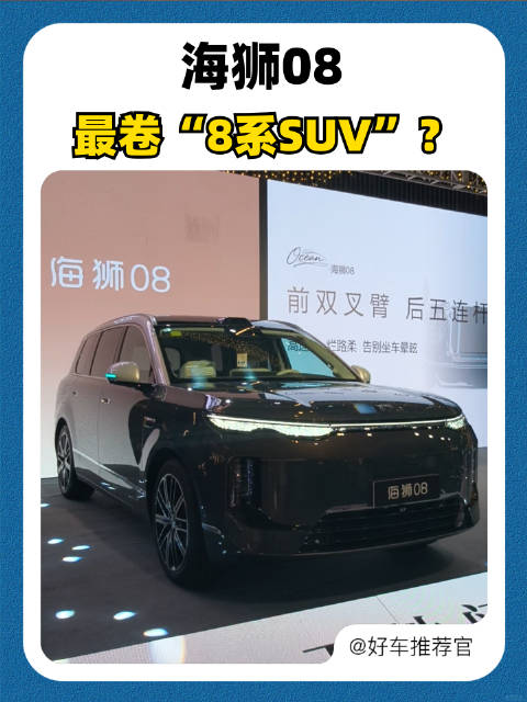 海狮08，最卷“8系SUV”