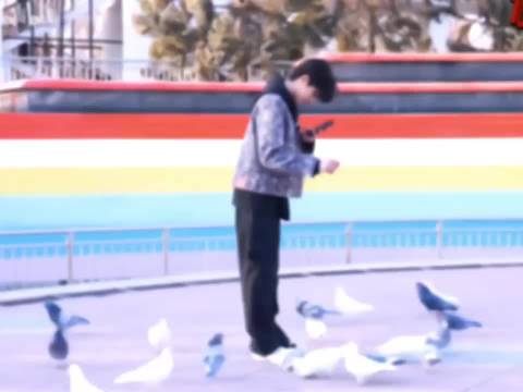 张极陈瑶同属御兽宗，小动物主动亲近