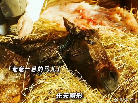 因为一个片段追完整部剧6tdh