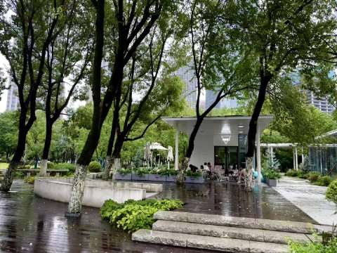 下雨天合肥咖啡馆，静听雨声看墨绿