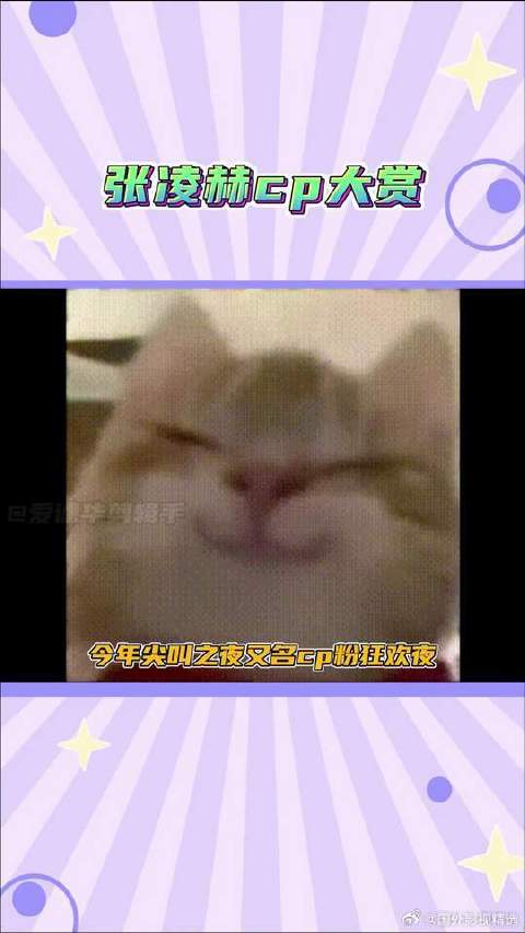 每一对都是不同的风味...好嗑！