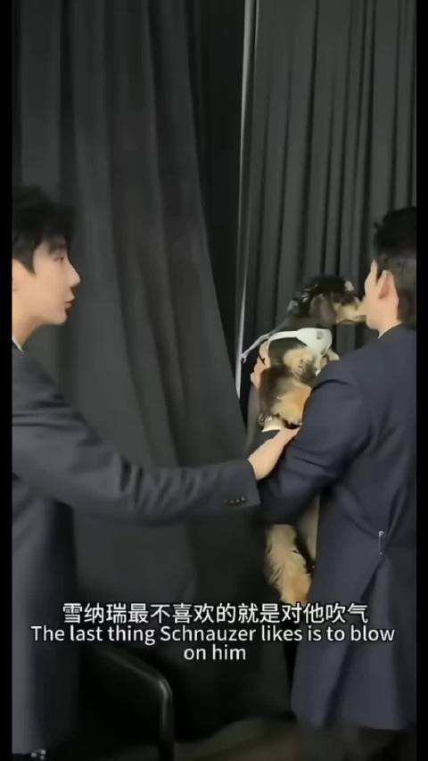 这个家唯一没有叛逆期的崽