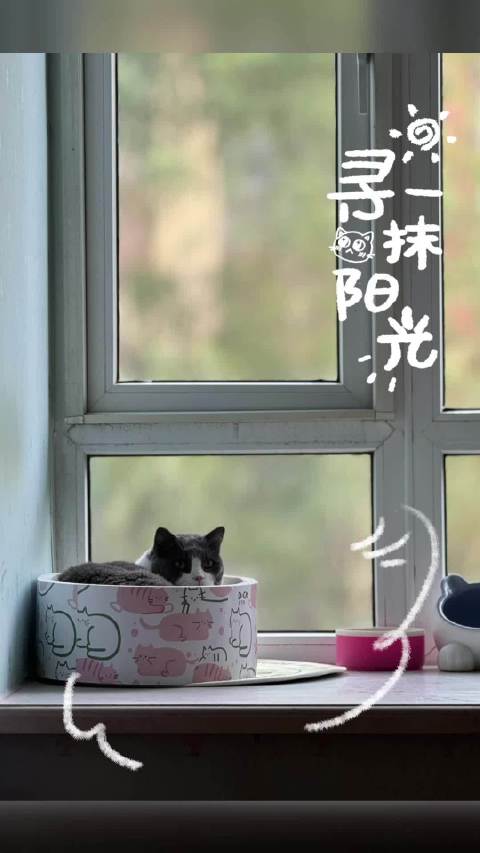 这个假期唯一的娱乐就是看了一场三小时的电影