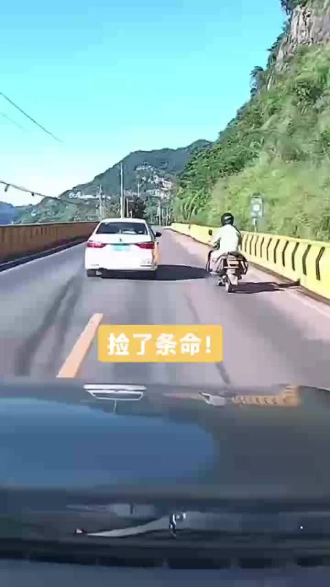 视频车司机捡了条命，摩托司机命也大