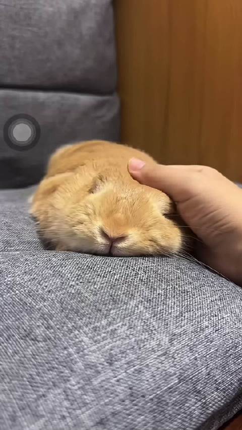 给我拍