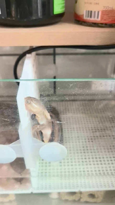 越狱，每日必修