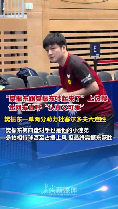 樊振东赛场自我调整名场面