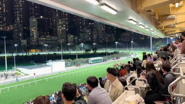香港赛马冲刺画面，速度与激情拉满